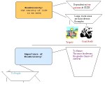 ADHD Graphic Organizer